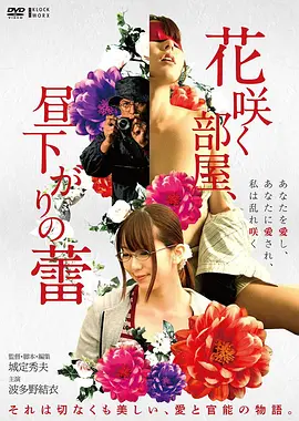 玻璃海岸 文艺电影推荐